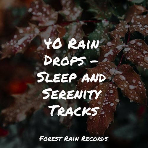 Rain, Storm and Thunder cover art