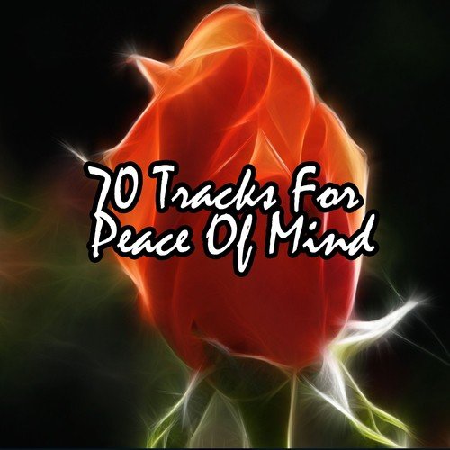 70 Tracks For Peace Of Mind_poster_image