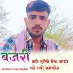 Bajari Bhari Troli Bhech Aayo Ko Lyo Namakin