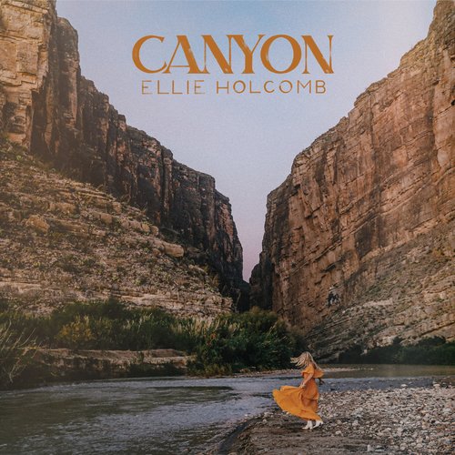 Canyon_poster_image