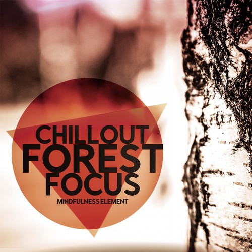 Chillout Forest Focus: Mindfulness Element