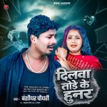 Dilawa Tore Ke Hoonar