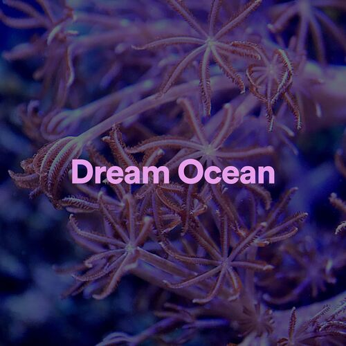 Dream Ocean_poster_image