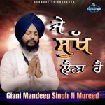 Je Sukh Lena Hai
