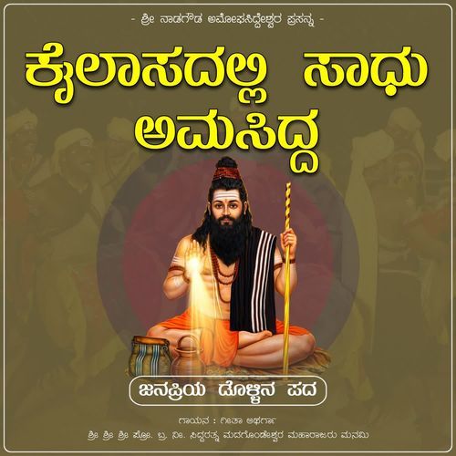 Kailasadalli Sadhu Amashidda