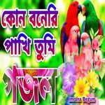 Kun Boneri Paki Tumi Go