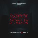MERE FELE