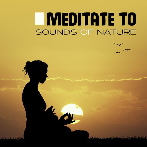 Way to Stress cover art