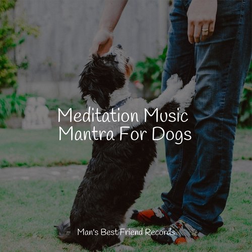 Meditating Music cover art