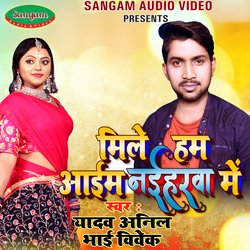 Mile Hum Aaim Naiharwa Me - Single
