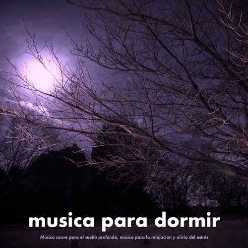 Dormir - Ayuda para dormir  cover art