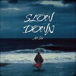 SLOW DOWN
