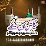 Sair E Gulshan Kaun Dekhen Dashte Taiba Chhod Kr