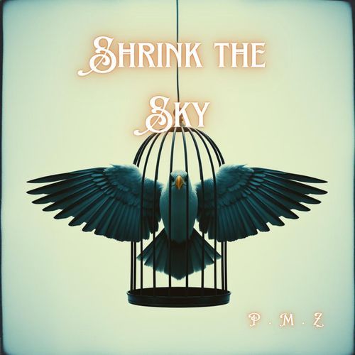 Shrink the Sky cover art