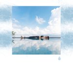 Oiseaux et Mer de Rêve