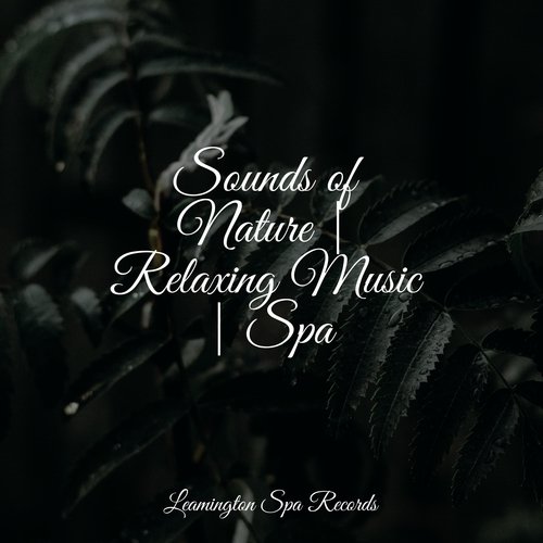 Music for Meditation