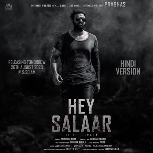 Sultan Hey Salaar_poster_image