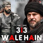 313 Wale Hain (Hindi)