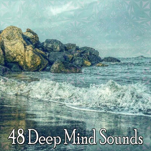 48 Deep Mind Sounds