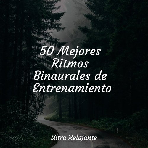 Domingos Perezosos cover art