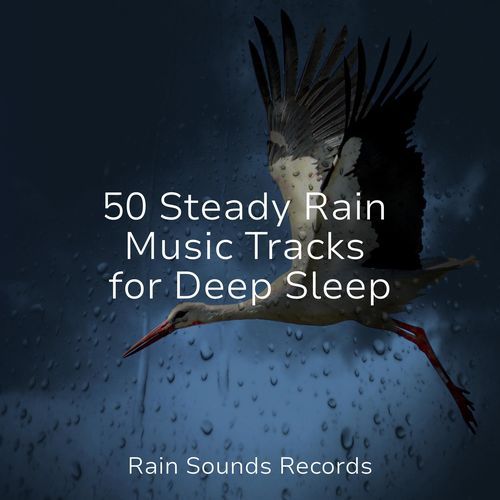 50 Steady Rain Music Tracks for Deep Sleep_poster_image