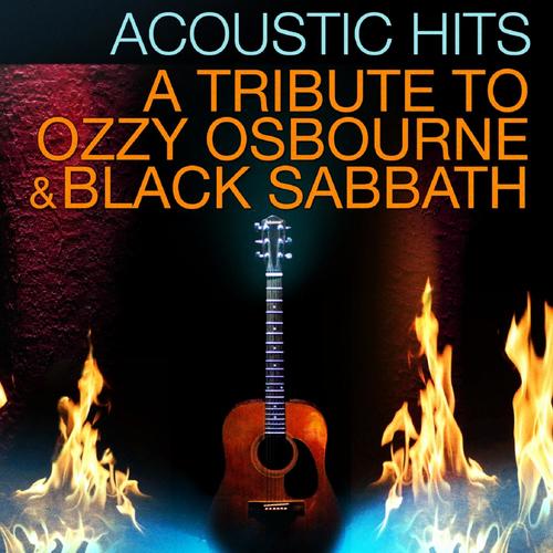 acoustic ozzy