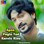 Apna Pagla Yad Karelu Kina