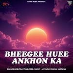 BHEEGEE HUEE ANKHON KA