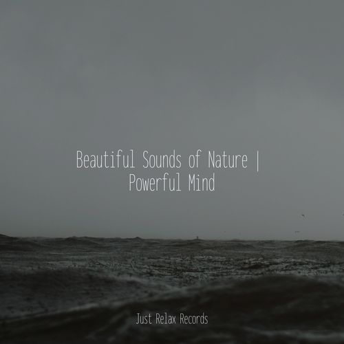 Beautiful Sounds of Nature | Powerful Mind