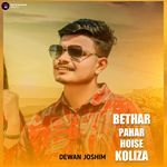 Bethar Pahar Hoise Koliza