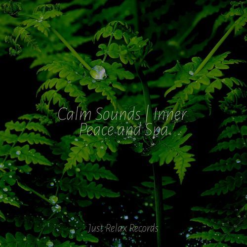 Calm Sounds | Inner Peace and Spa