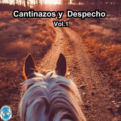 Cantinazos y Despecho, Vol.1