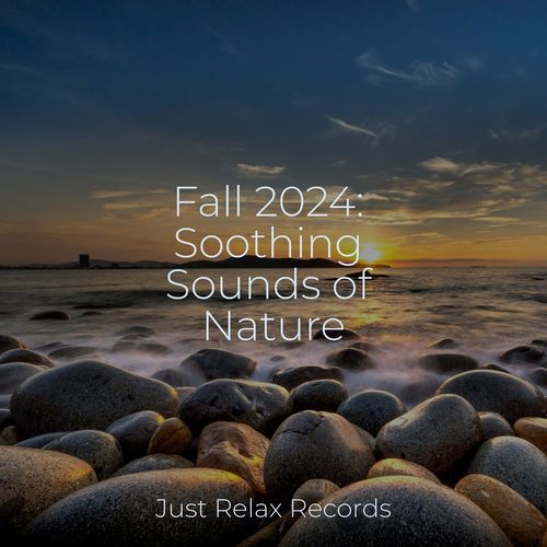 Fall 2024: Soothing Sounds of Nature