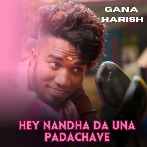 Hey Nandha Da Una Padachave - Dammu Song