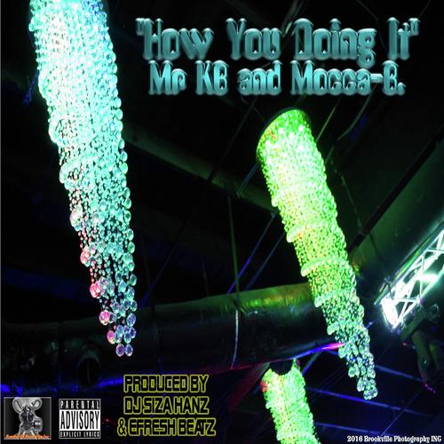 How You Doing It (with Mocca B)_poster_image