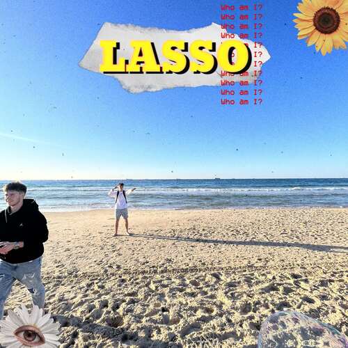 LASSO_poster_image