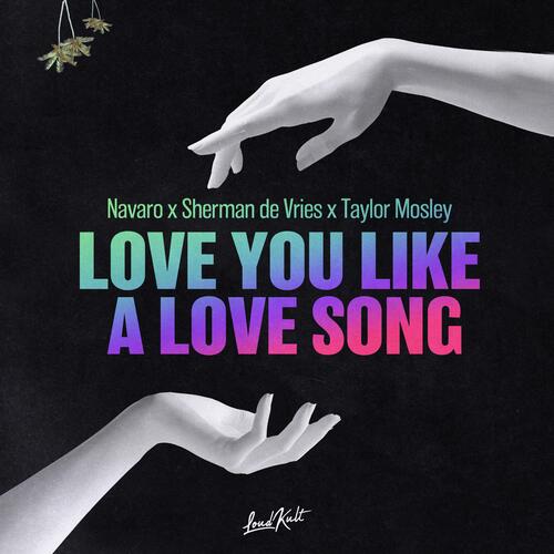 Love You Like A Love Song_poster_image