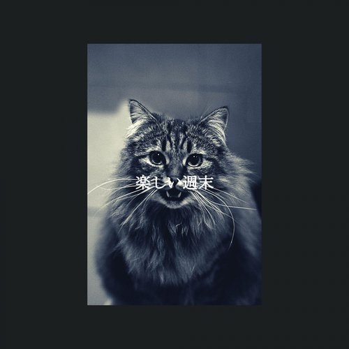 Sunny Calm Nights cover art