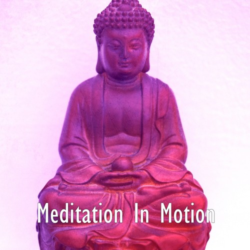 Meditation In Motion_poster_image