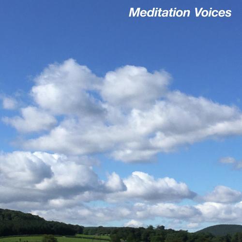 Deep Dreams (Meditation Voices Part 8: Loopable) cover art