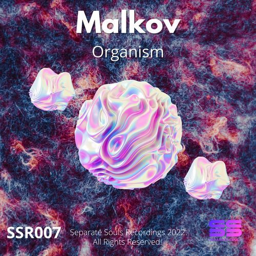 Organism (Mellow Men Remix) cover art