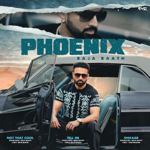 Phoenix_poster_image