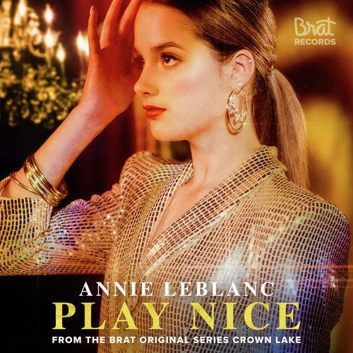 Play Nice_poster_image