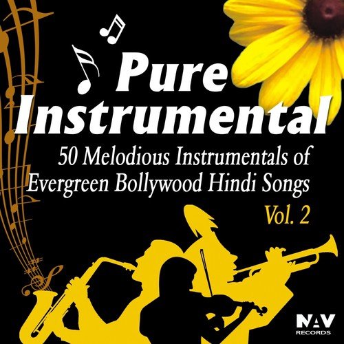 Pure Instrumental - 50 Melodious Instrumentals Of Evergreen Bollywood Hindi Songs, Vol. 2