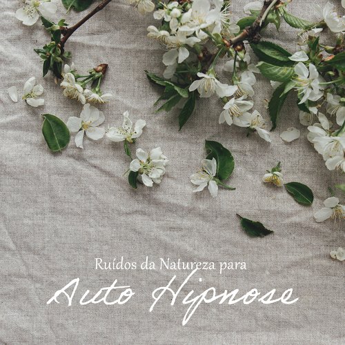 Terapia de Ruído Branco cover art