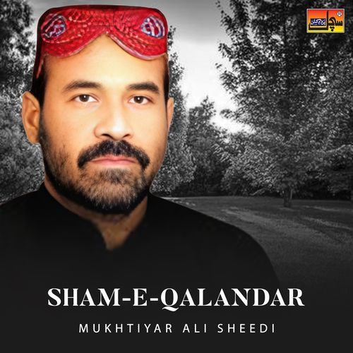 Asan Karde Ali Ali cover art