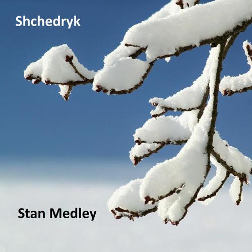 Stan Medley