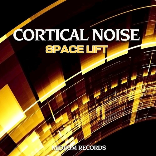 Cortical Noise