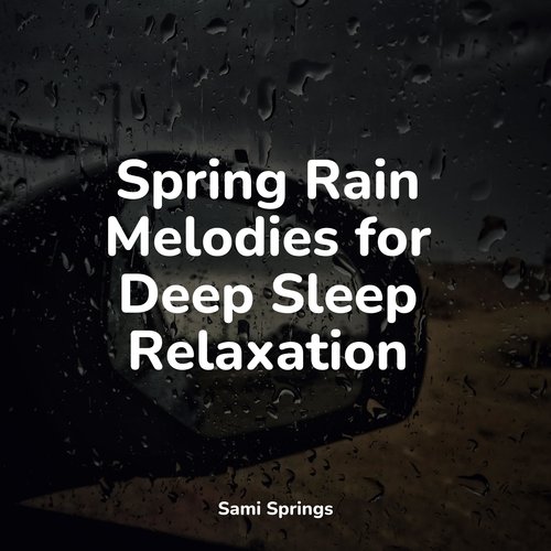 Spring Rain Melodies for Deep Sleep Relaxation_poster_image