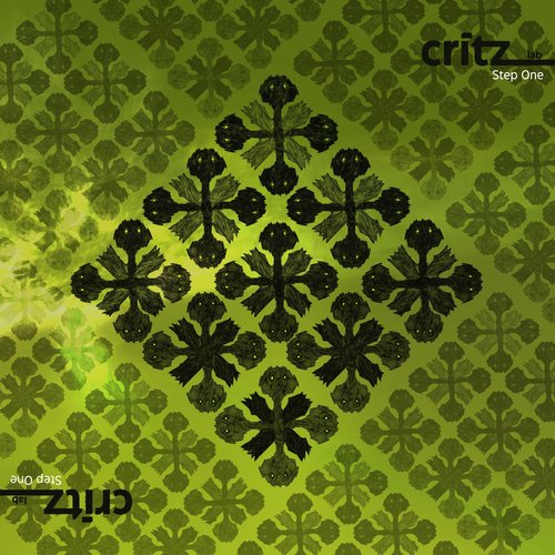 Steve cover art